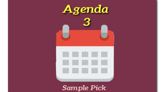 AGENDA 3